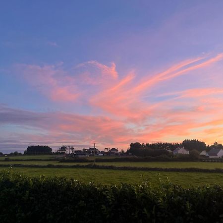 Andis Meadow Lägenhet Galway Exteriör bild